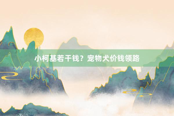 小柯基若干钱？宠物犬价钱领路