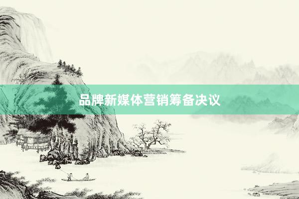 品牌新媒体营销筹备决议